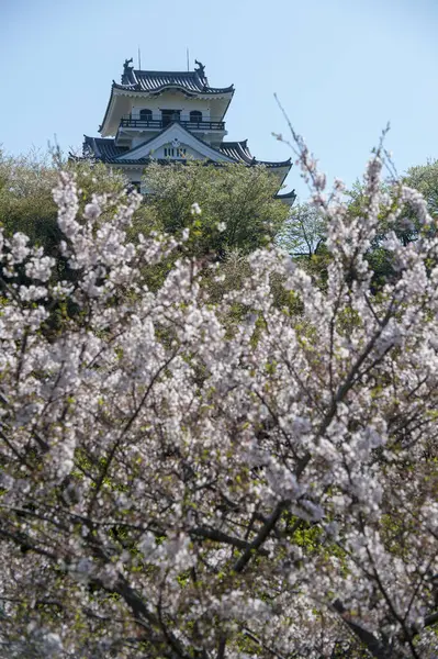 Japonya Daki Ünlü Osaka Şatosu Kulesinin Manzaralı Görüntüsü — Stok fotoğraf