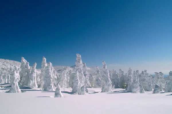 Красивый Снежный Пейзаж Горных Лесов — стоковое фото