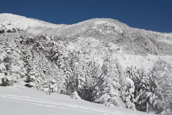 山のピークのある冬景色 — ストック写真
