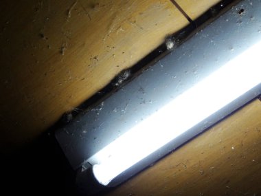 Kirli ahşap tavanı aydınlatan parlak floresan lamba.