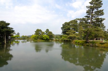 Parktaki gölet, Japon bahçesi.