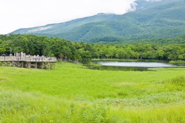 Yeşil ormanlı bir göl ve arka planda dağlar.