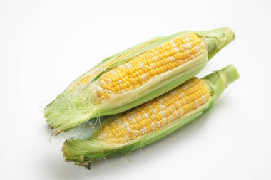 mısır arkaplan görünümünü kapat 