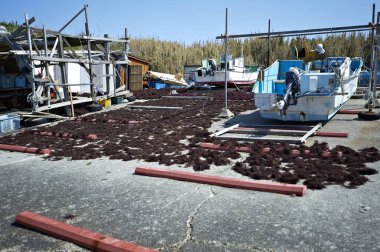 Kurutulmuş yosun yığınlarının yakınına park edilmiş tekneler