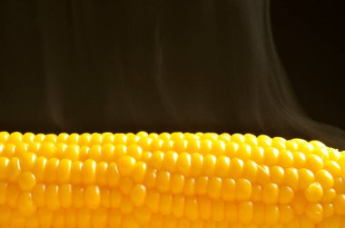 Siyah arka planda pişmiş sıcak mısırın yakın plan görüntüsü  