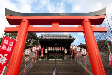 Geleneksel Asyalı alıcı detay görünümü