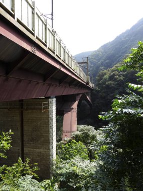 Dağlardaki demiryolu köprüsünün yemyeşil yaprakları