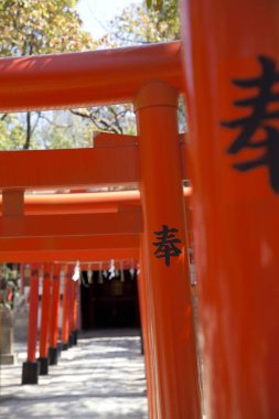 Japonya 'daki Kusumoto Inari Tapınağı' nın Torii kapısı