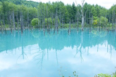 mavi su ile ormandaki göl 