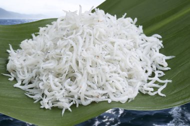 Japon shirasu. Kaynamış sardalyalar tuzlu suda kızartılır..