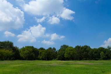 Güneşli bir günde yeşil çayır ve mavi gökyüzü manzarası 