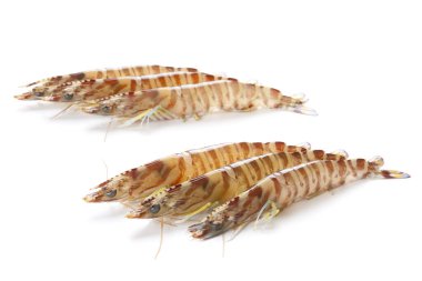 Kaplan karidesleri manzarayı kapatır 