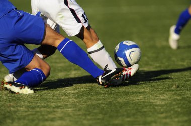 Spor giyim sektöründe futbol oyuncularının bacakları çimlerin üzerinde top oynuyorlar.                 