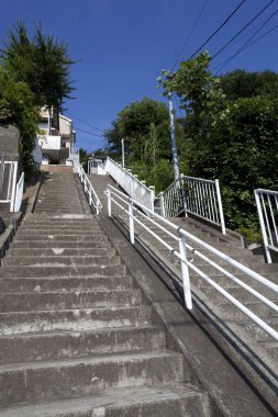 Beton merdivenler, açık mavi gökyüzünün altındaki yeşil ağaçların arasından yükseliyor.