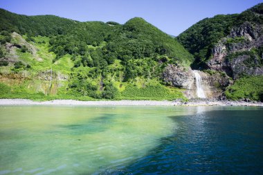 Yazın berrak suyu olan yeşil dağ gölü.