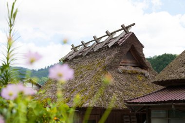 traditional house at shikawago in japan