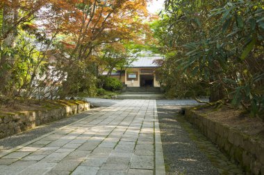 Huzurlu bahçeden geçerek geleneksel binaya uzanan taş patika.
