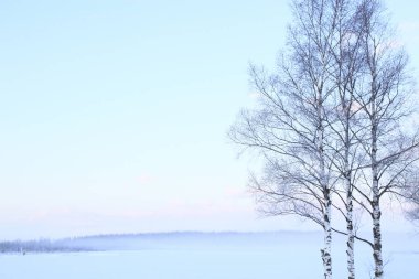Arkaplan için güzel karlı manzaranın manzaralı görüntüsü