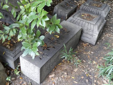 Parkta Çince sembolleri olan anıt taşının manzarası