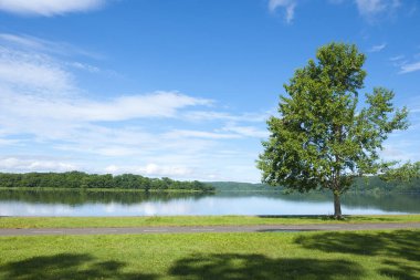 Yeşil ormanlı bir göl ve arka planda dağlar.