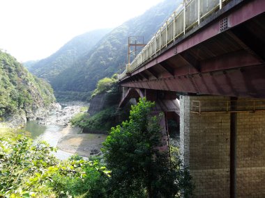 Yeşil dağlarda bir nehir üzerinde köprü 