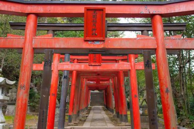 Geleneksel Japon tarihi geçidi tapınağı