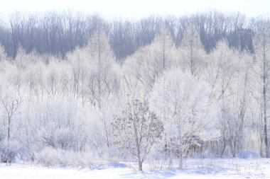 Arkaplan için güzel karlı manzaranın manzaralı görüntüsü