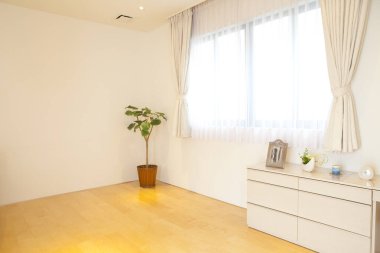 Modern oturma odasının içi güzel saksılarla dolu.        