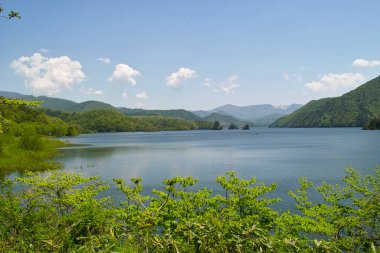 Gölü, yeşil ağaçları ve arka planda dağları olan güzel bir manzara.           