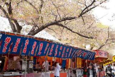 Japonya 'da kiraz çiçekleriyle dolu kalabalık bir cadde 