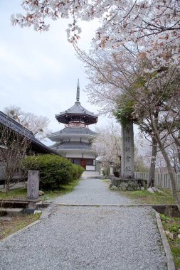 Antik Japon tapınağının manzaralı görüntüsü