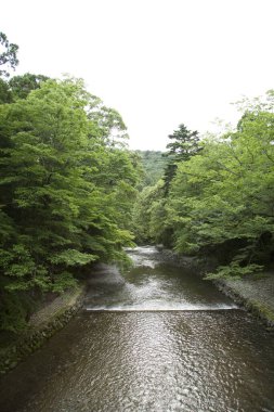 Yaz parkında nehir ve yeşil ağaçlarla güzel bir manzara.