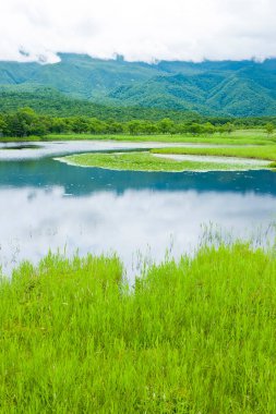 Yeşil ormanlı bir göl ve arka planda dağlar.