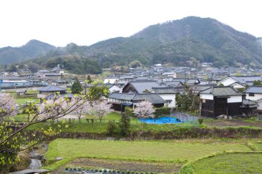 Bahar zamanı Dağ Vadisi 'ndeki Japon köyünün güzel manzarası                             