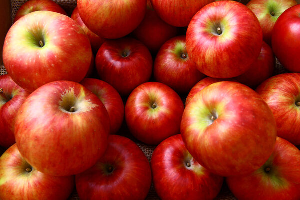 fresh red apples, close up view