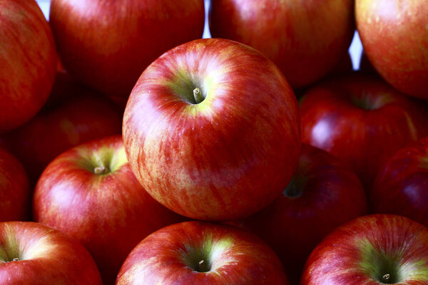 red apples on white background