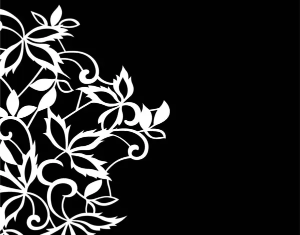 花卉背景 黑色和白色 — 图库照片