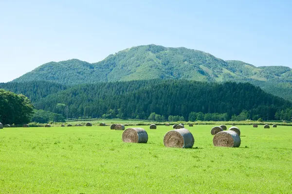 Field Hay Bales Mountains Background — Stock Photo, Image