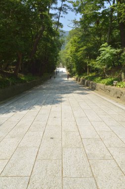 Yeşillik yeşil orman ağaçlarının arasından uzanan güneş taşı yolu.