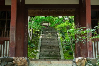 Japon bahçesindeki eski taş merdiven doğa arka planında.