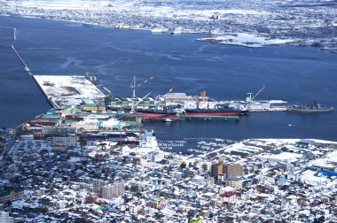 Hakodate Dağı 'ndan güzel havada panoramik manzara. Hakodate Gözlemevi, Japonya