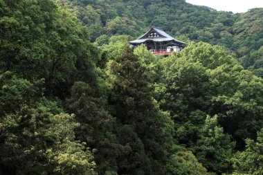Güzel Japon tapınağı, Budizm konsepti