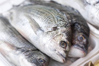 Taze deniz ürünleri, açık hava pazarı...