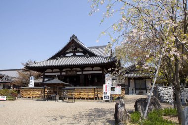 Antik Japon tapınağının manzaralı görüntüsü