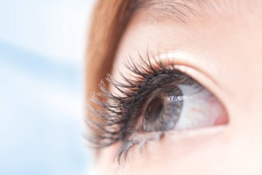 Göz makrosu, Asyalı kadının kırpılmış portresi. 