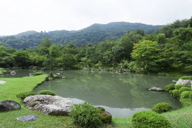 güzel Japon bahçe ağaçları ve gölet