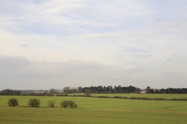 Güzel yeşil tarlalar ve kırsal alanda bulutlu gökyüzü 