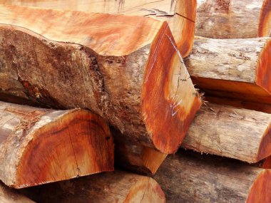 Tahta kütükleri kapat