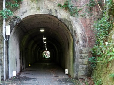 Yeşil yapraklar ve yosunlarla çevrili beton tünel girişi.