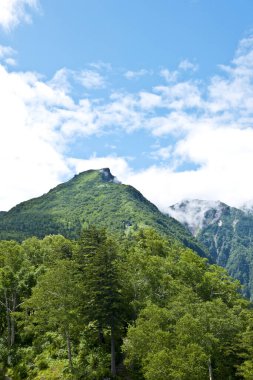 yeşil dağların güzel görünümü